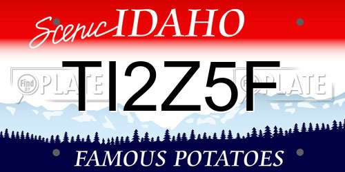 TI2Z5F Idaho License Plate