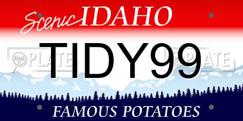 TIDY99 Idaho License Plate
