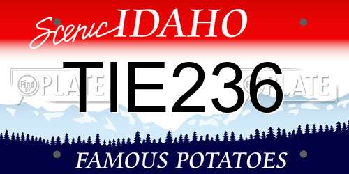 TIE236 Idaho License Plate