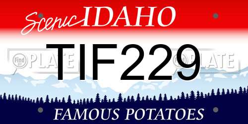 TIF229 Idaho License Plate