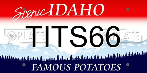 TITS66 Idaho License Plate