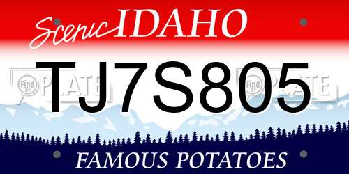 TJ7S805 Idaho License Plate