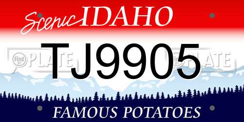 TJ9905 Idaho License Plate