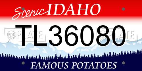 TL36080 Idaho License Plate