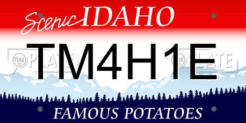 TM4H1E Idaho License Plate