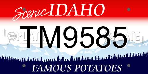 TM9585 Idaho License Plate