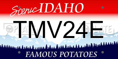 TMV24E Idaho License Plate