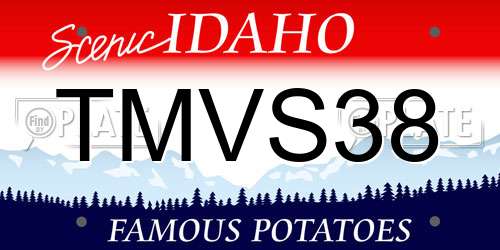 TMVS38 Idaho License Plate