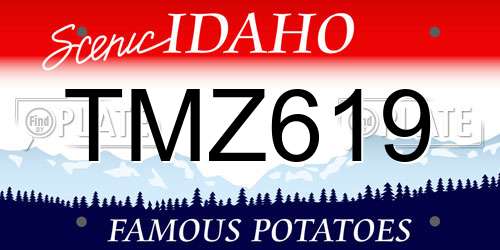 TMZ619 Idaho License Plate