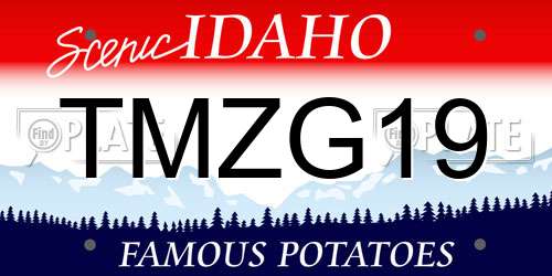 TMZG19 Idaho License Plate