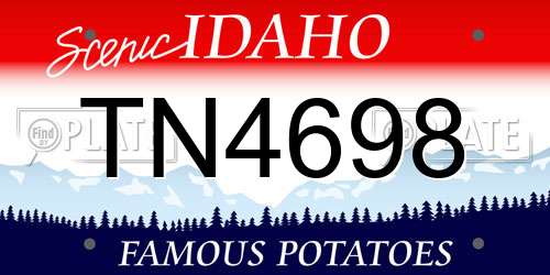 TN4698 Idaho License Plate