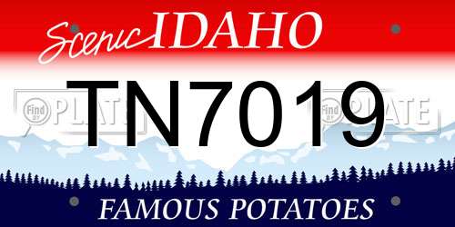 TN7019 Idaho License Plate