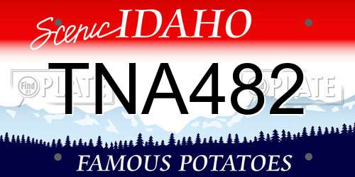 TNA482 Idaho License Plate