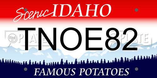 TNOE82 Idaho License Plate