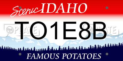 TO1E8B Idaho License Plate
