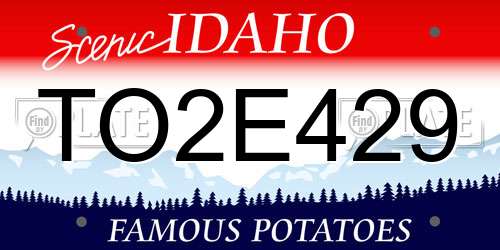 TO2E429 Idaho License Plate