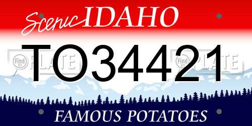 TO34421 Idaho License Plate