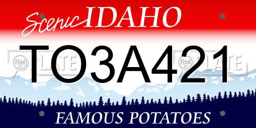 TO3A421 Idaho License Plate