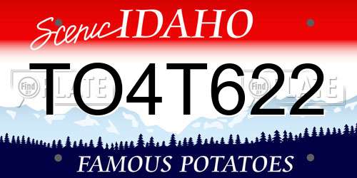 TO4T622 Idaho License Plate