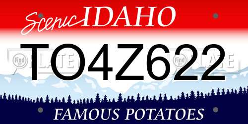 TO4Z622 Idaho License Plate