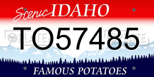 TO57485 Idaho License Plate