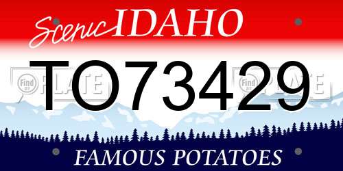 TO73429 Idaho License Plate