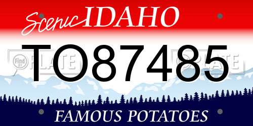 TO87485 Idaho License Plate