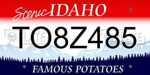 TO8Z485 Idaho License Plate