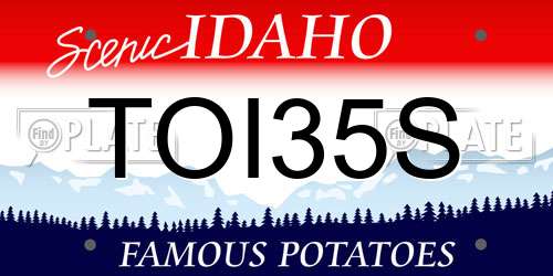TOI35S Idaho License Plate