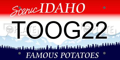 TOOG22 Idaho License Plate