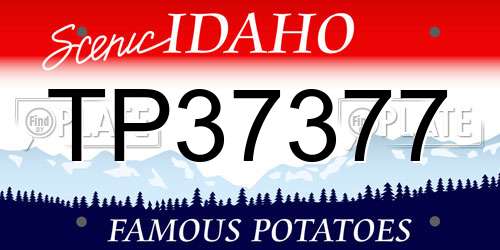 TP37377 Idaho License Plate