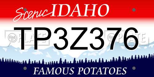 TP3Z376 Idaho License Plate