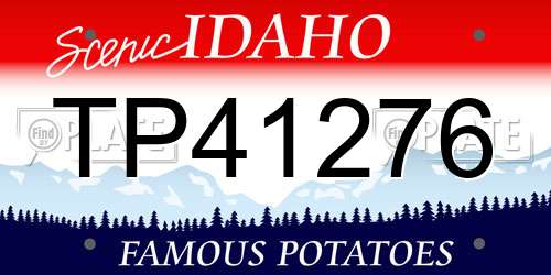 TP41276 Idaho License Plate