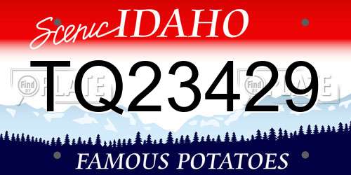 TQ23429 Idaho License Plate