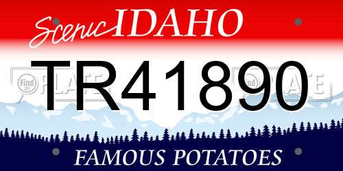 TR41890 Idaho License Plate