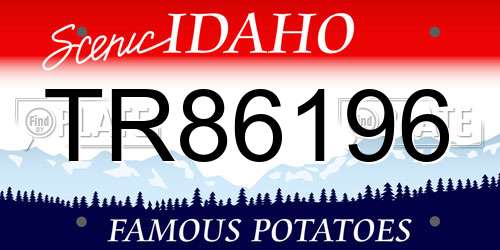 TR86196 Idaho License Plate
