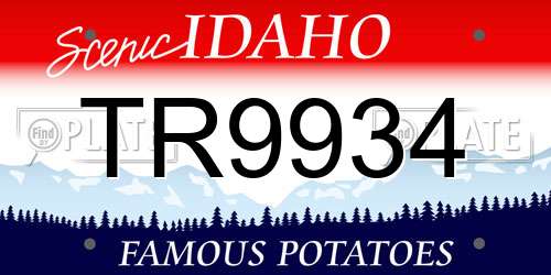 TR9934 Idaho License Plate