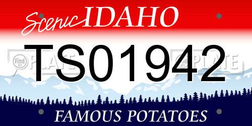 TS01942 Idaho License Plate