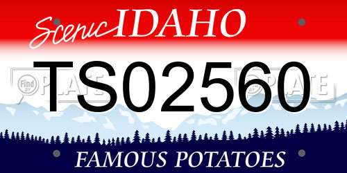 TS02560 Idaho License Plate