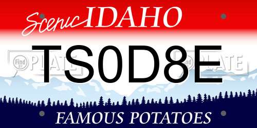 TS0D8E Idaho License Plate