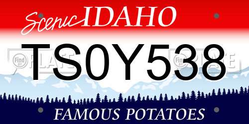 TS0Y538 Idaho License Plate