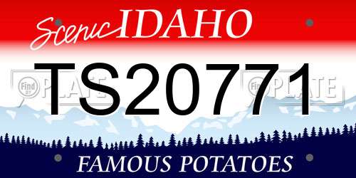 TS20771 Idaho License Plate