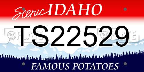 TS22529 Idaho License Plate