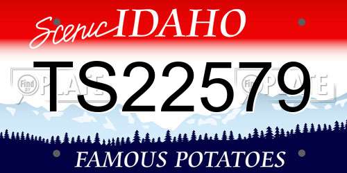 TS22579 Idaho License Plate