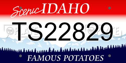 TS22829 Idaho License Plate