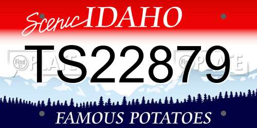 TS22879 Idaho License Plate