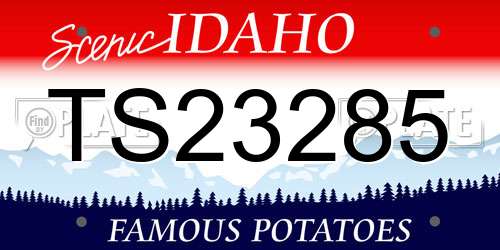TS23285 Idaho License Plate