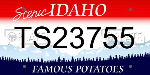 TS23755 Idaho License Plate