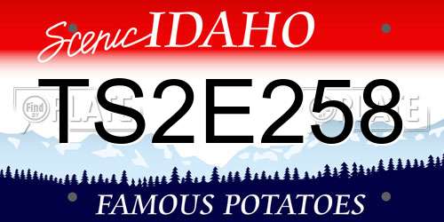 TS2E258 Idaho License Plate