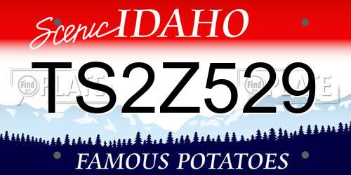 TS2Z529 Idaho License Plate